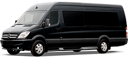 Transfer Van Congonhas Park